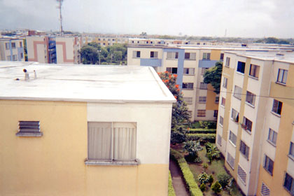 361-1.jpg