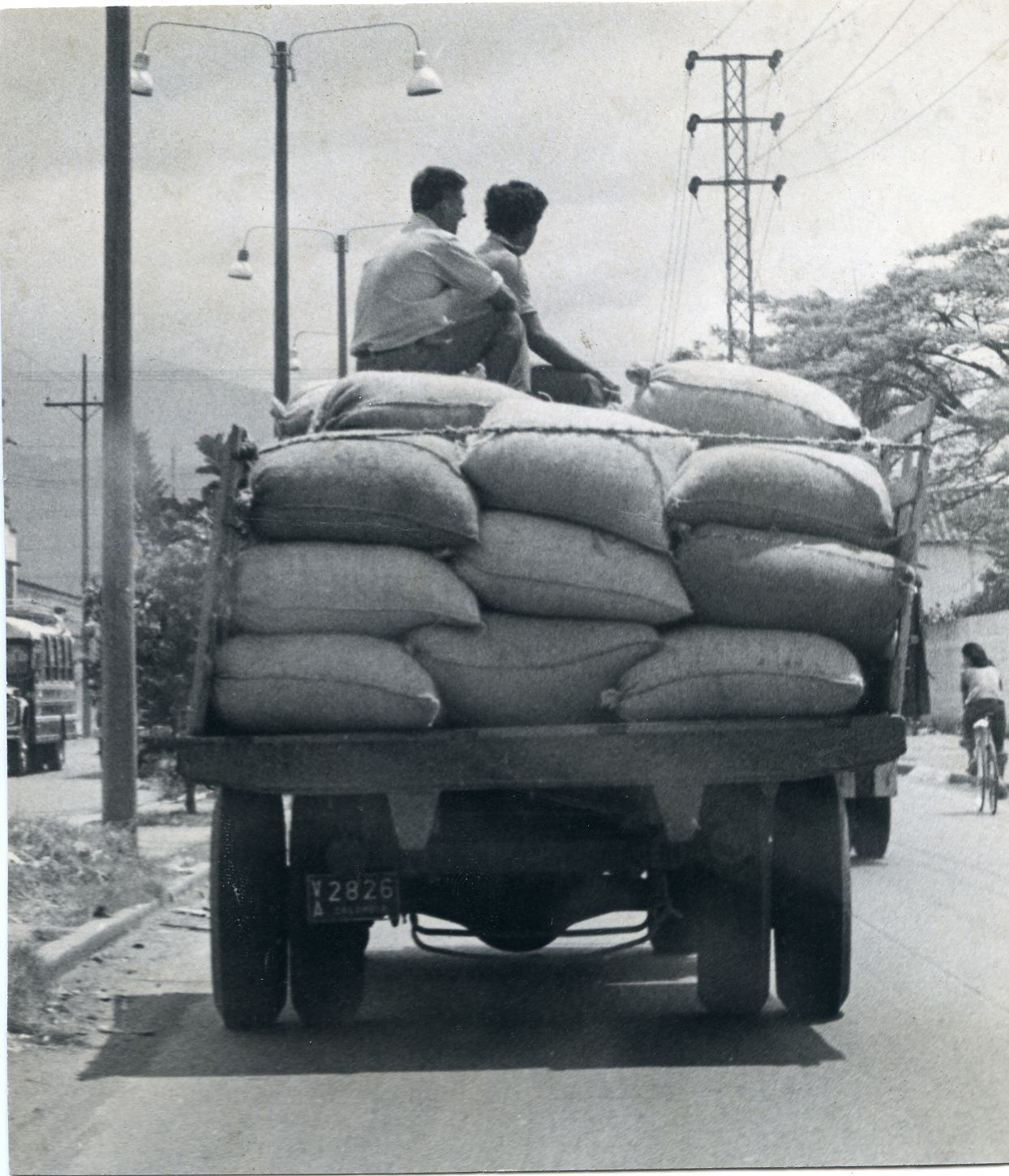 FDO019655.jpg