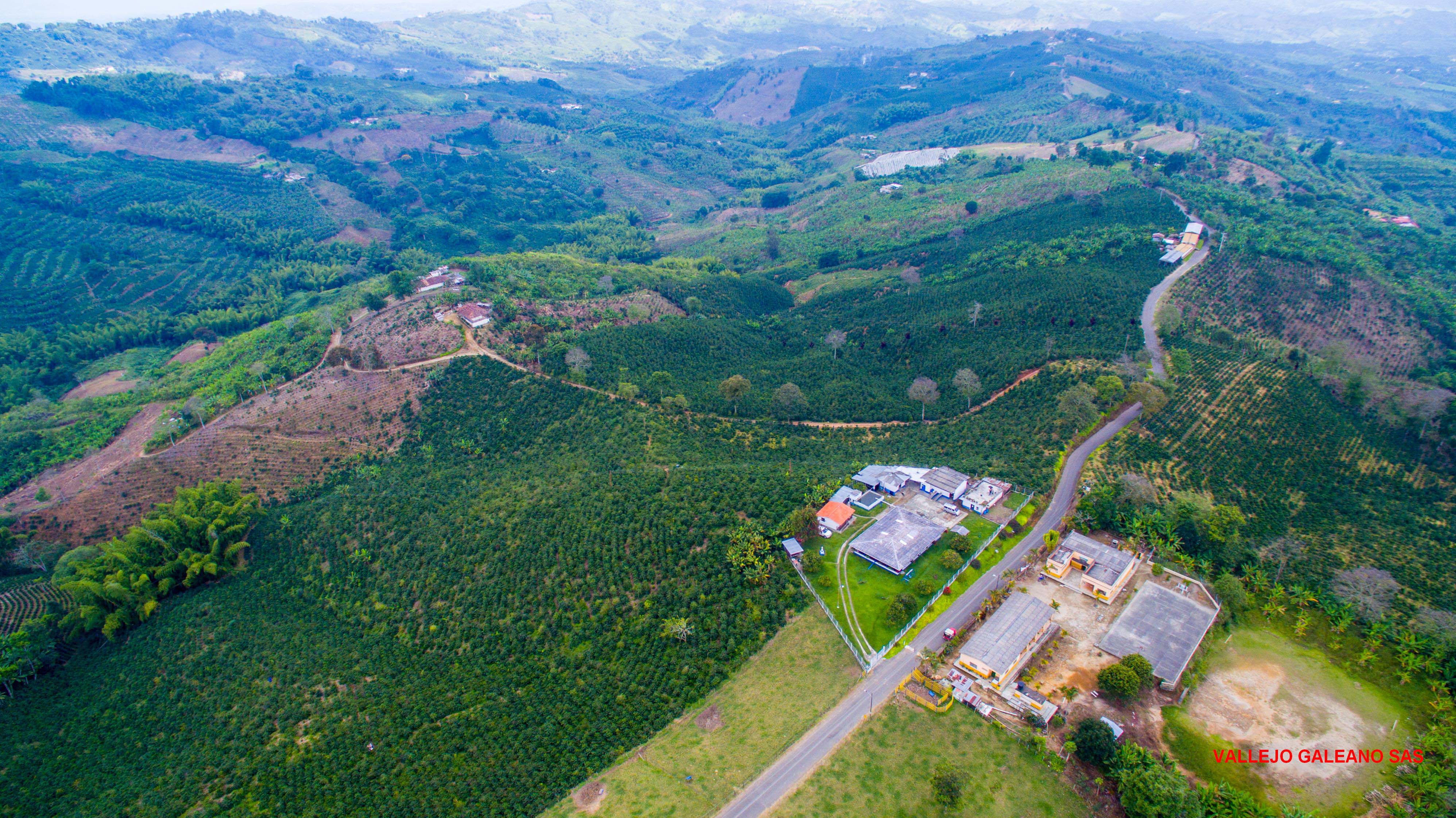 PCCC1189_Vereda Palomino.jpg