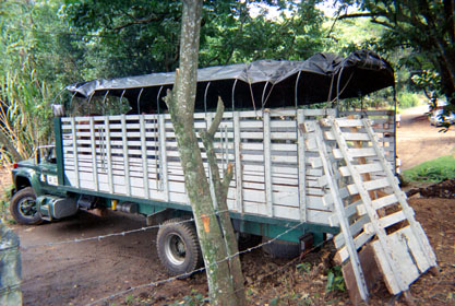 443-4.jpg