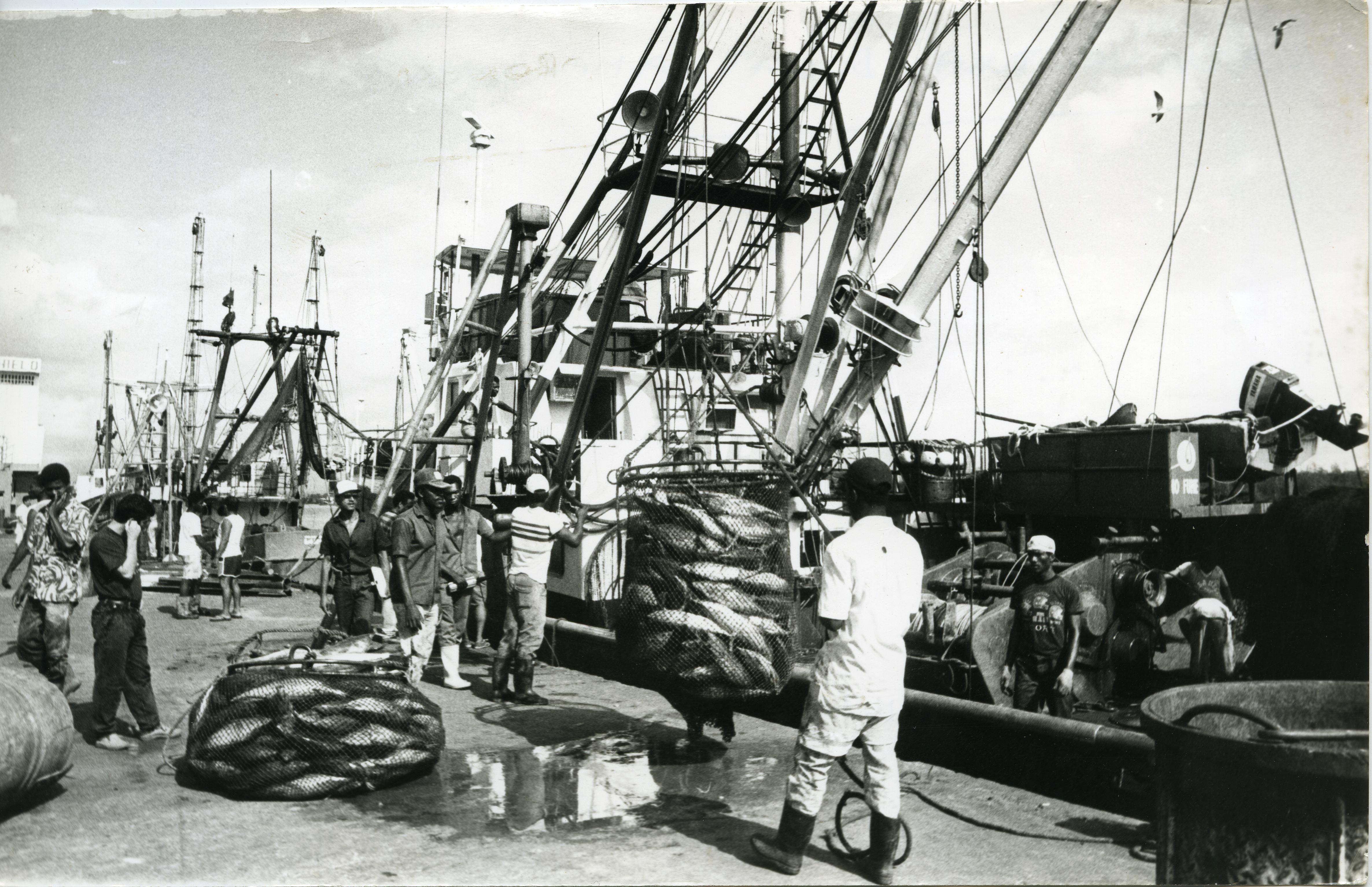 FDO026957.jpg