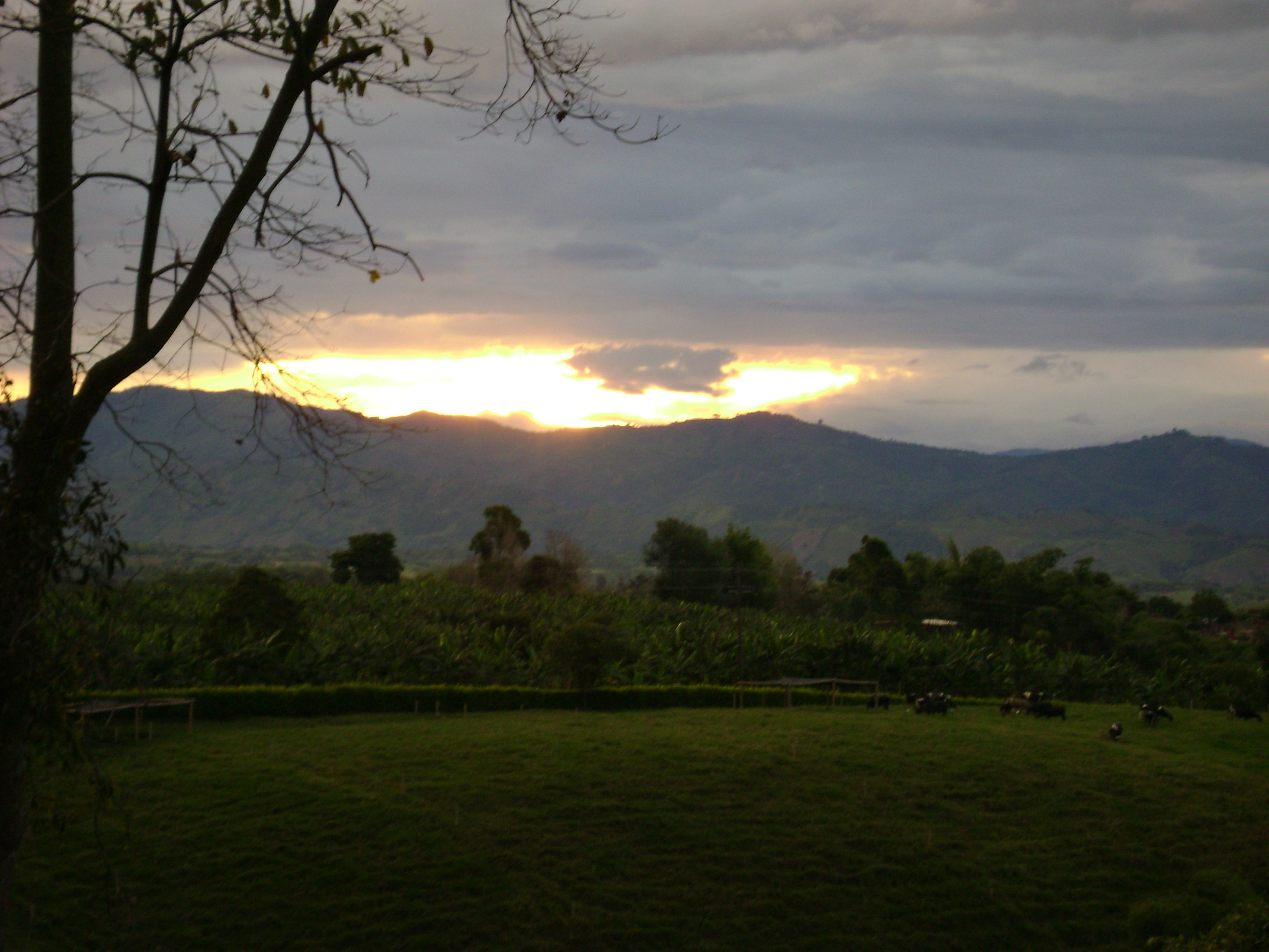 PCCC0832.jpg