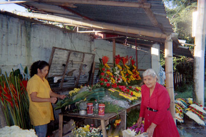 443-12.jpg