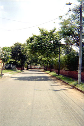 442-27.jpg