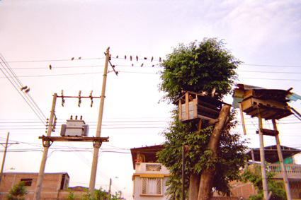 099-16.jpg