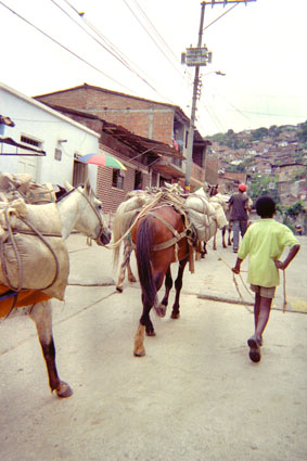 465-6.jpg