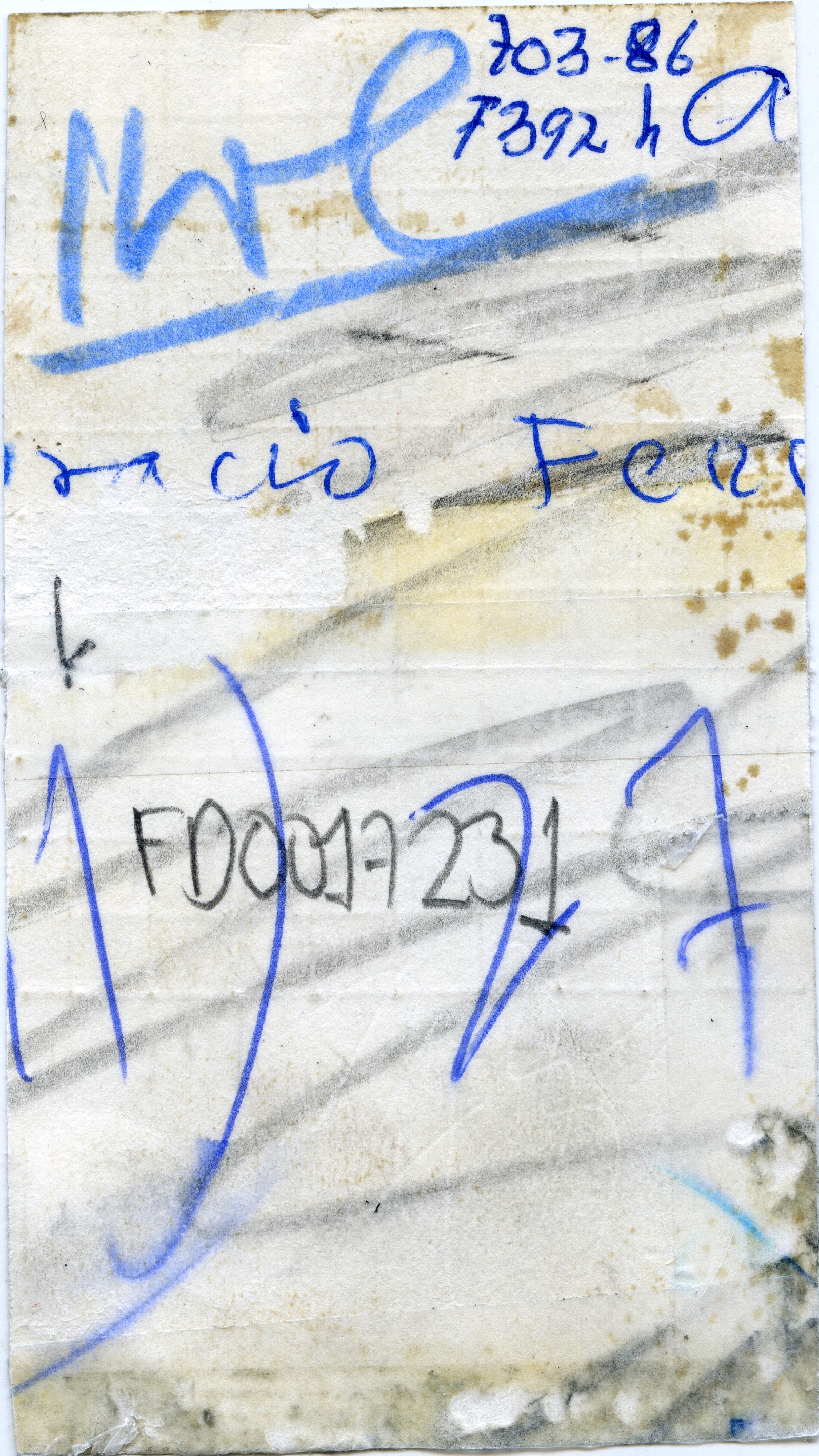 FDO017231A.jpg