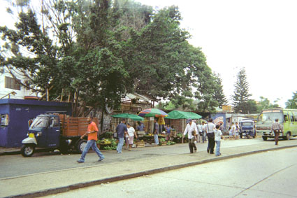 450-4.jpg