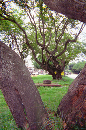 362-3.jpg