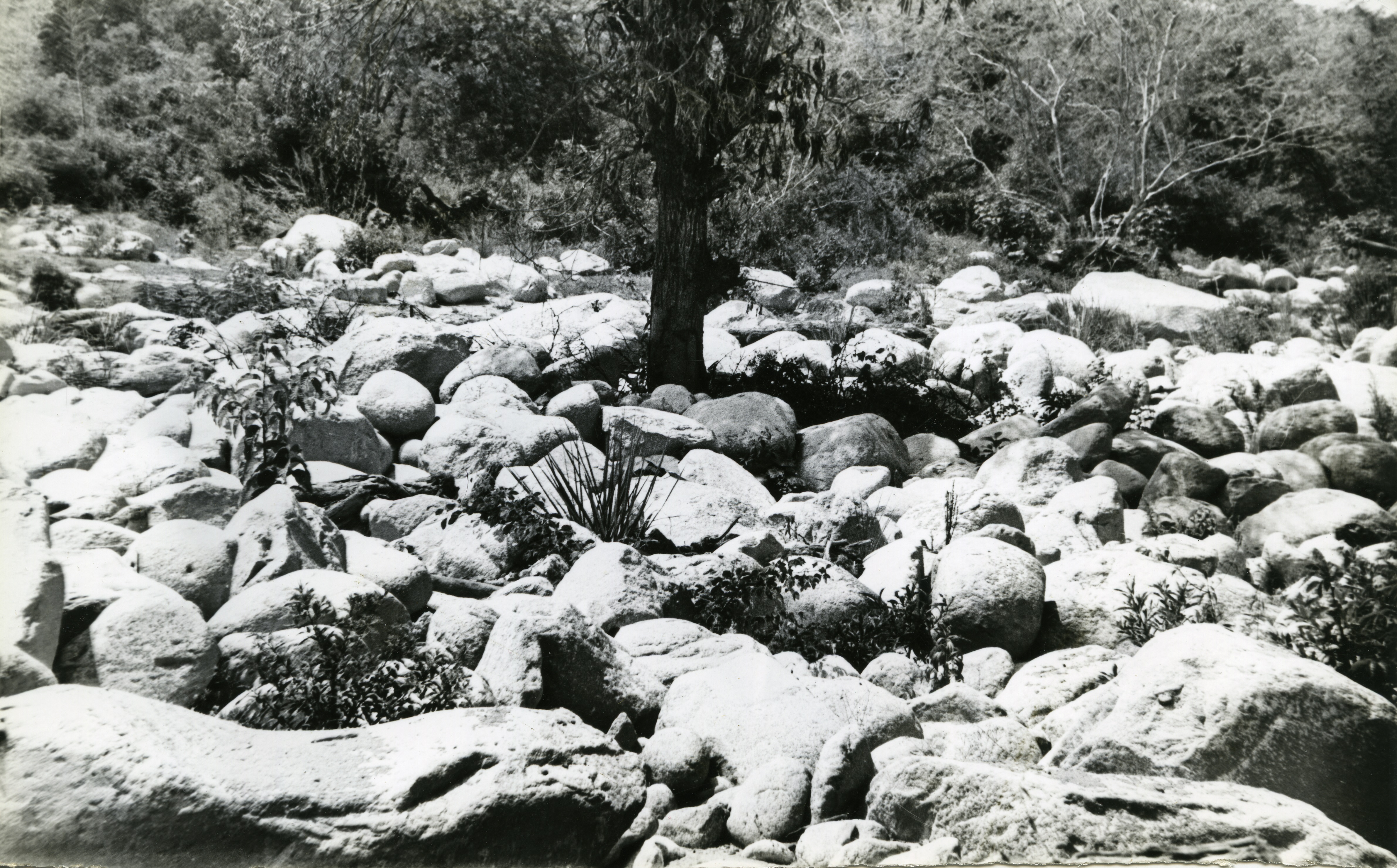 Fdo016079.jpg