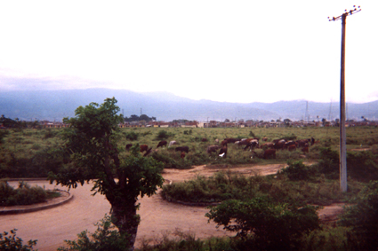 489-2.jpg