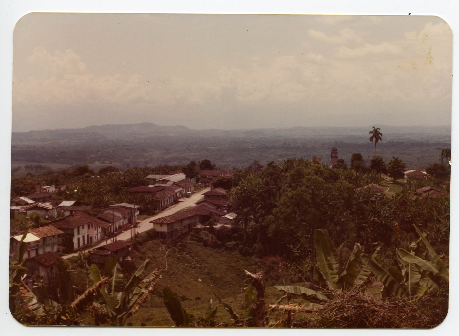 PCCC0720.jpg
