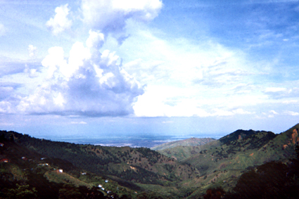 503-21.jpg