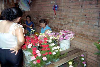 468-5.jpg