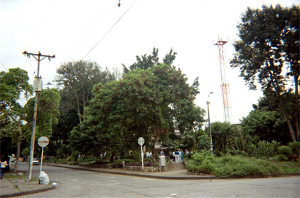447-5.jpg