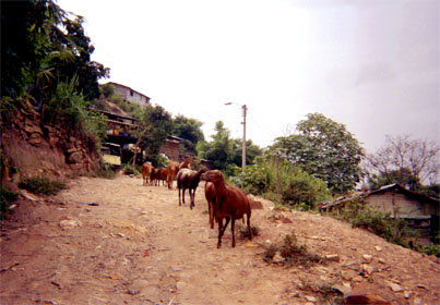 043-16.jpg