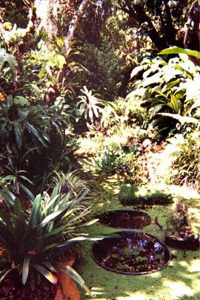 502-31.jpg