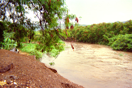 087-23.jpg