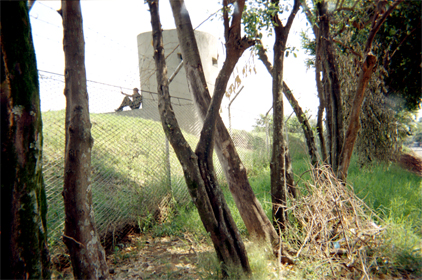 382-3.jpg