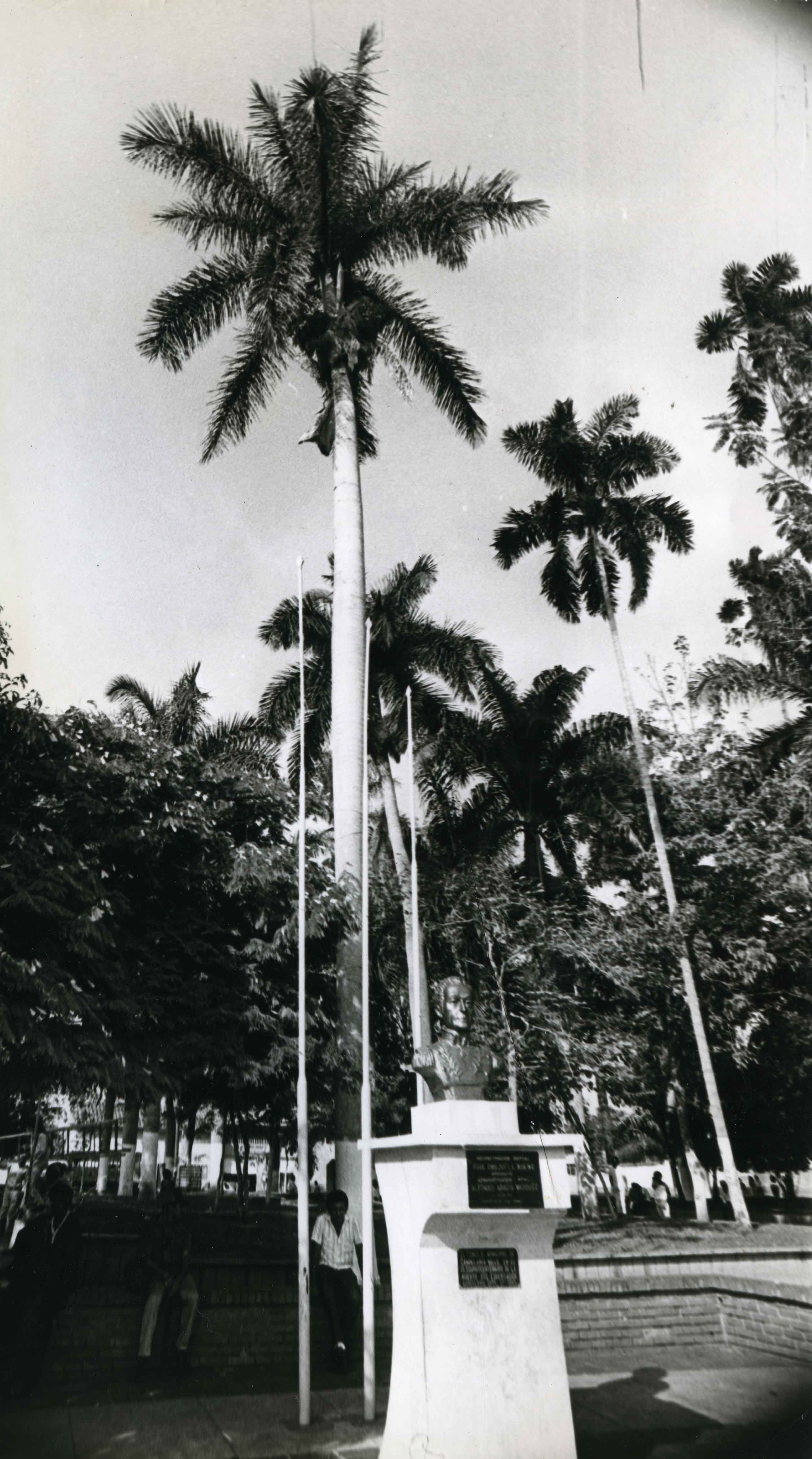 FDO07933.jpg