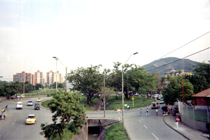453-9.jpg