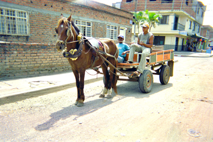 123-8.jpg