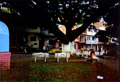 049-10.jpg