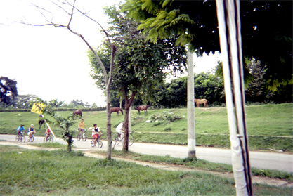 471-30.jpg