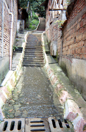 388-30.jpg