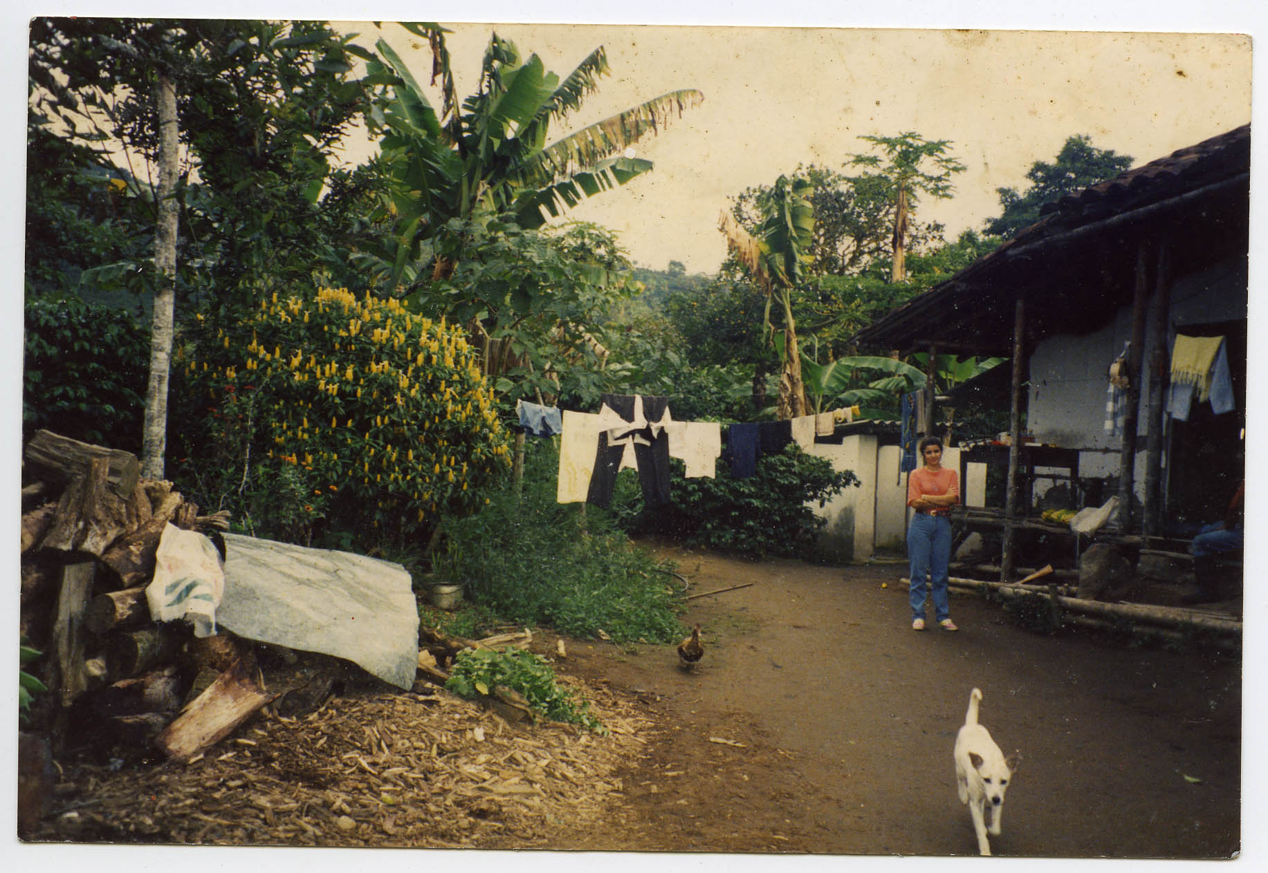 PCCC0739.jpg