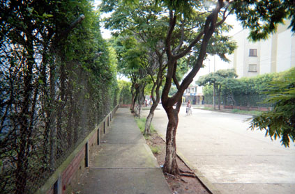 369-7.jpg
