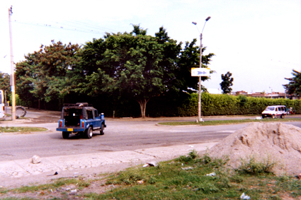483-21.jpg