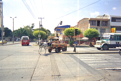 207-18.jpg