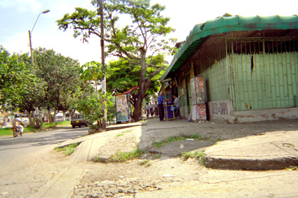 230-15.jpg