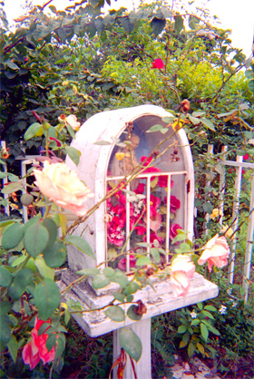 118-8.jpg