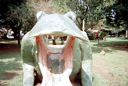 377-22.jpg