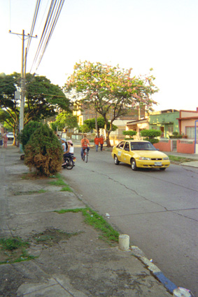 233-15.jpg