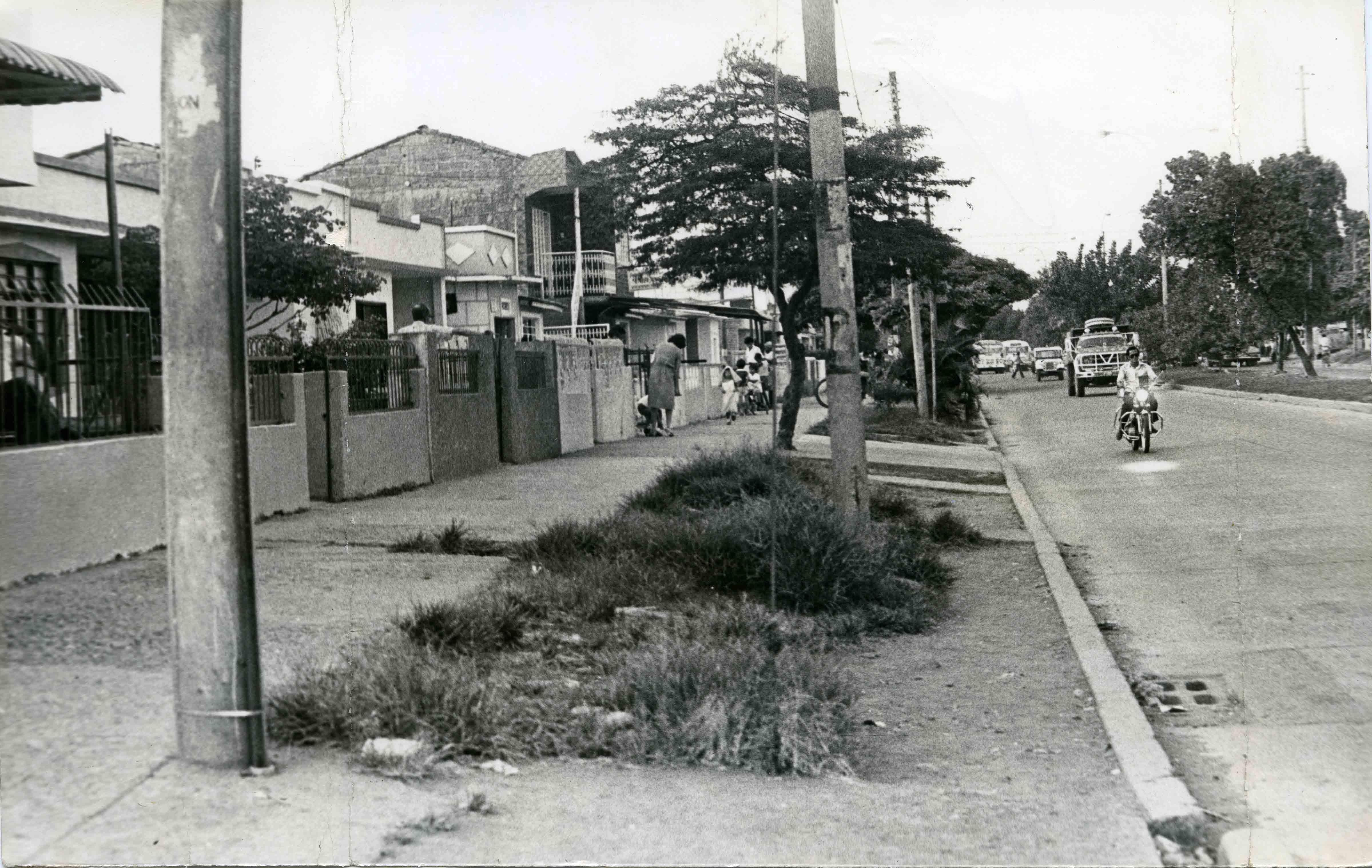 FDO06708.jpg