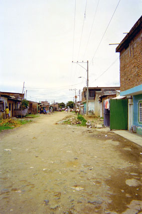 298-7.jpg
