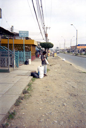 302-10.jpg