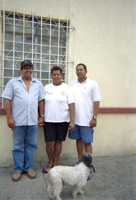 196-1.jpg