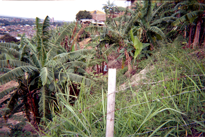 395-25.jpg