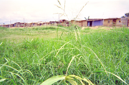 286-19.jpg