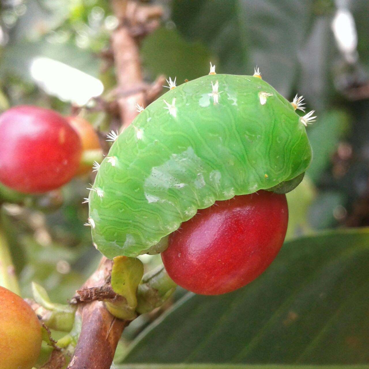 PCCC1119.jpg