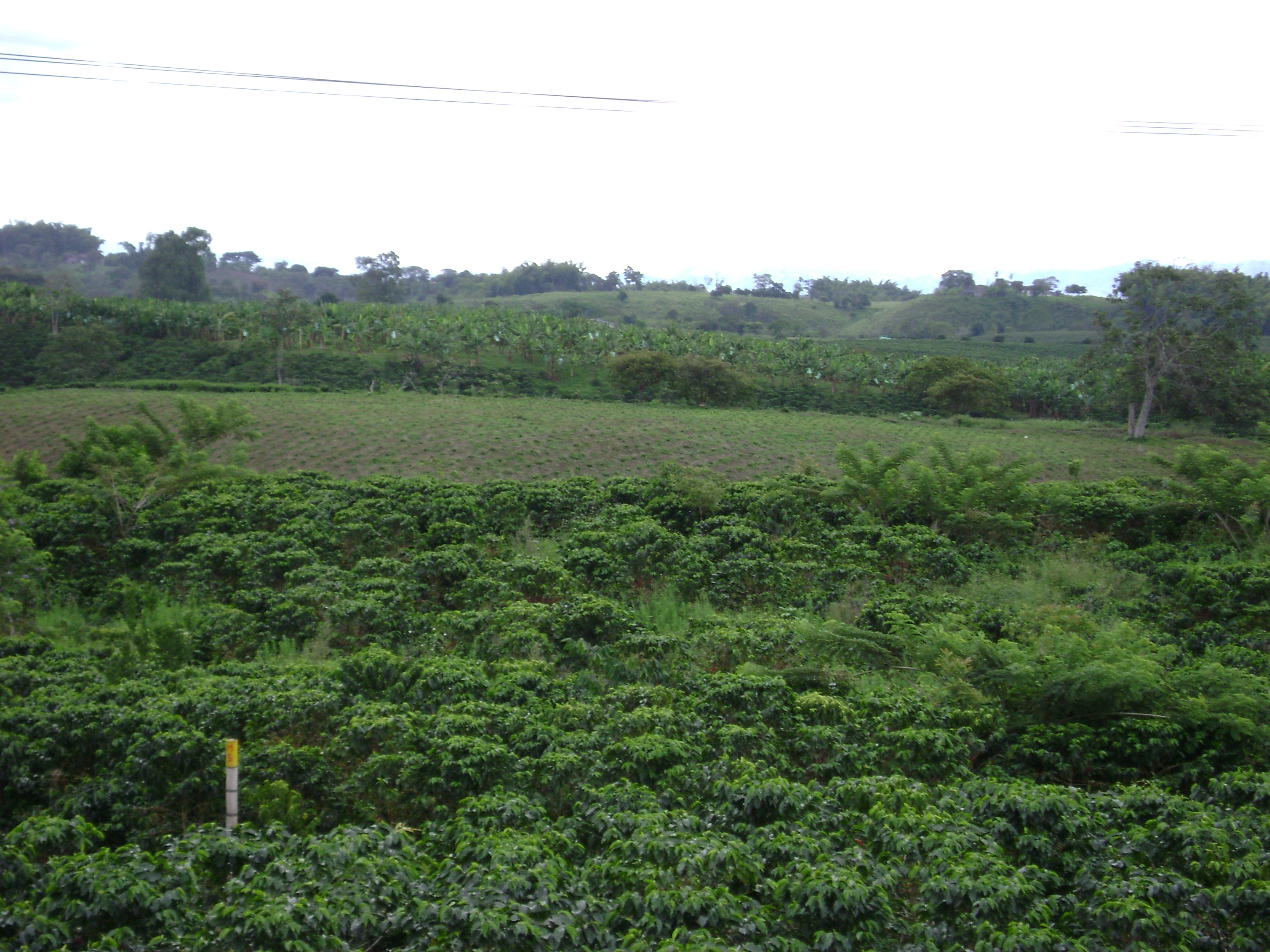 PCCC0848.jpg