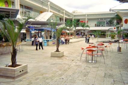 225-5.jpg