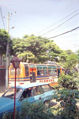 158-19.jpg