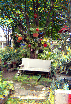 182-10.jpg