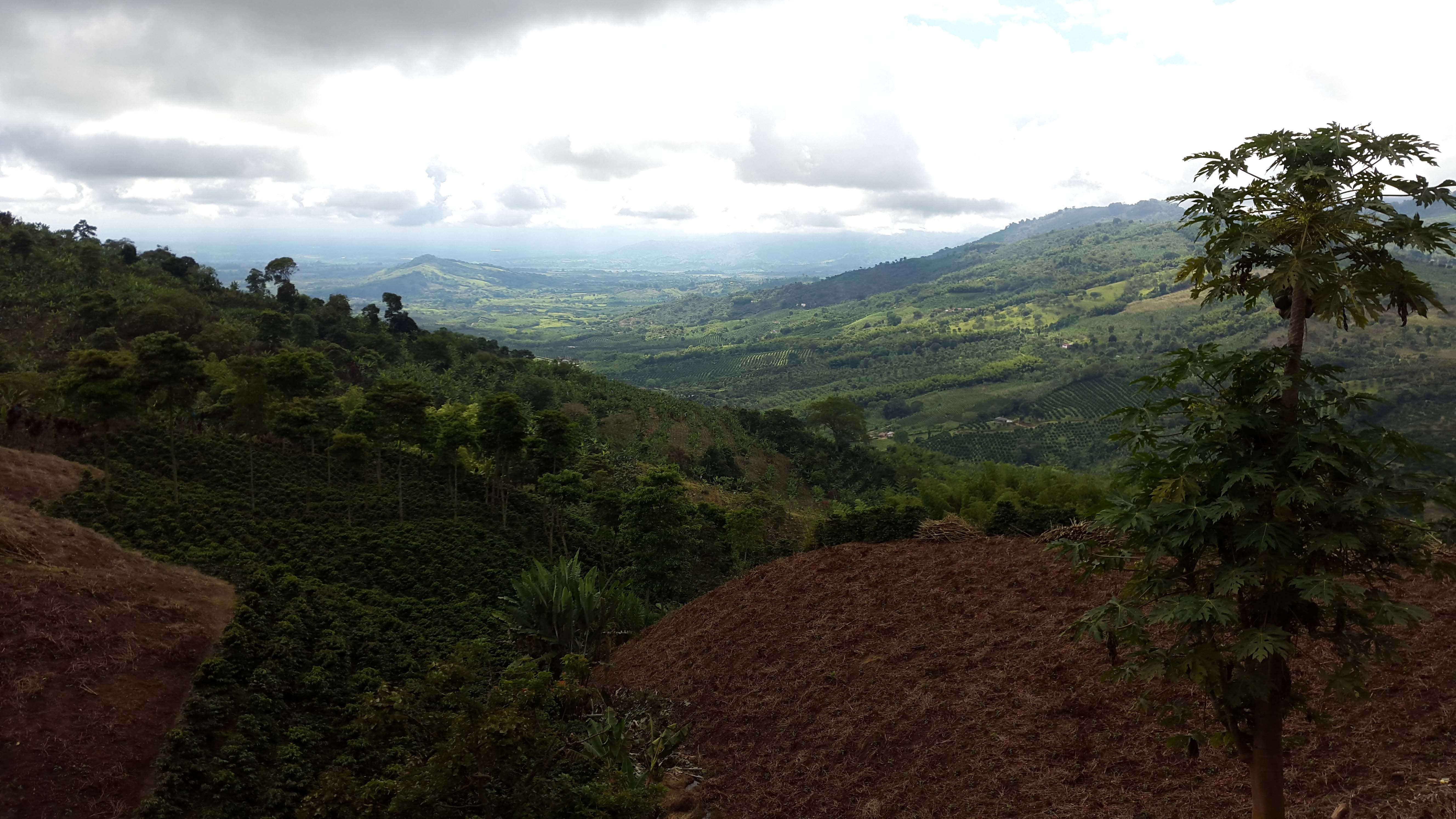 PCCC1190_Vista panoramica desde Finca Porvenir, Vereda Palomino.jpg