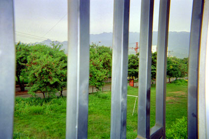 373-27.jpg